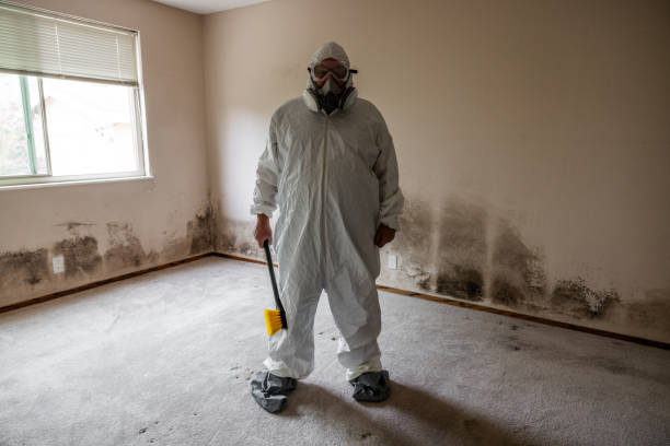Best Attic Mold Removal  in Newport News, VA